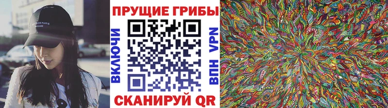 Псилоцибиновые грибы ЛСД  Суровикино 